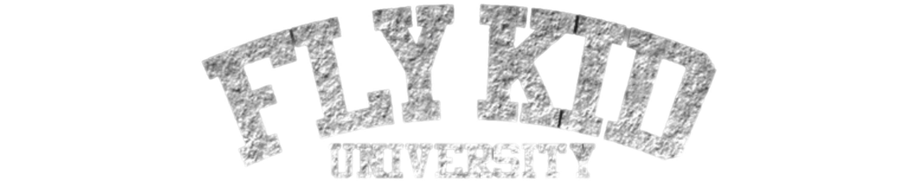 Fly Kid University 